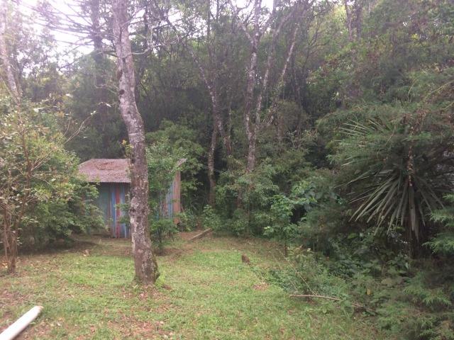 REF ? 2404 - Chácara com 2,400 m² localizada no capinzal com 3 nascente - Foto 19