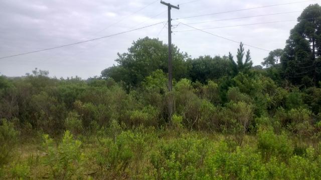 Ref. 1116 - Imperdível chácara de 22.385 m² no Poço Grande - Foto 4