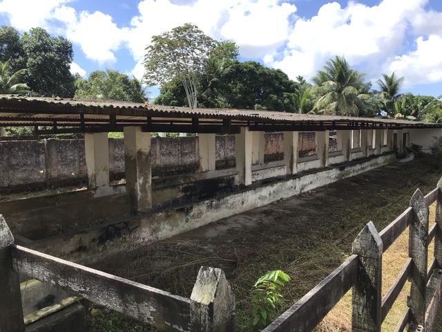 Granja, sítio, fazenda em Igarassu, 4 hectares com bastante benfeitorias! - Foto 8