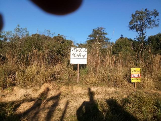 Terreno/ Lote- São José dos Pinhais