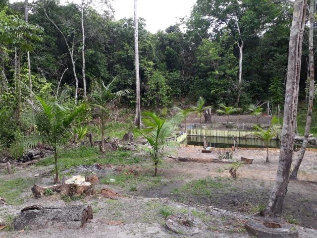 Terreno com Igarapé - Ramal do 30 Curuçá - Foto 10
