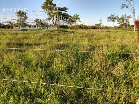 Fazenda Pecuaria 322 Hectares Plana
