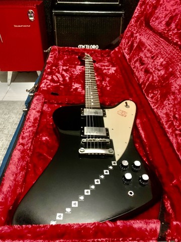 epiphone firebird hard case