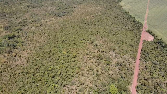 Fazenda em Aparecida do Rio Negro. Lavoura. - Foto 4