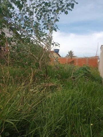 LOTE ANTÔNIO BARBOSA  - Foto 4