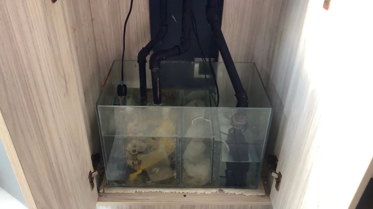 Aquário Marinho 150 Litros Completo Com Sump - Foto 4