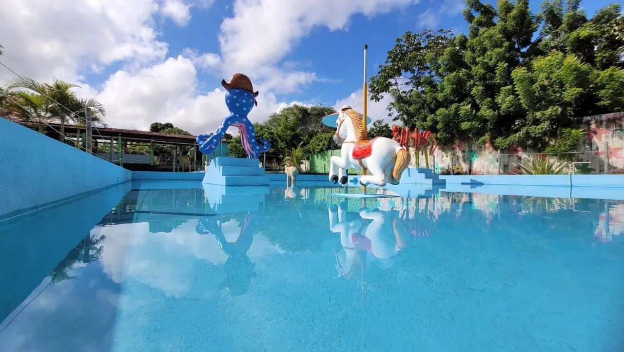 Chácara Comercial  - Foto 11