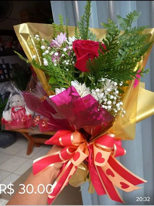 Planta Zamioculcas Zamiifolia - Foto 5