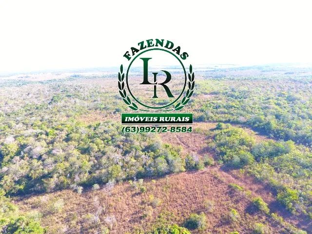 Fazenda 103 alqueires  Vale Araguaia - Foto 3