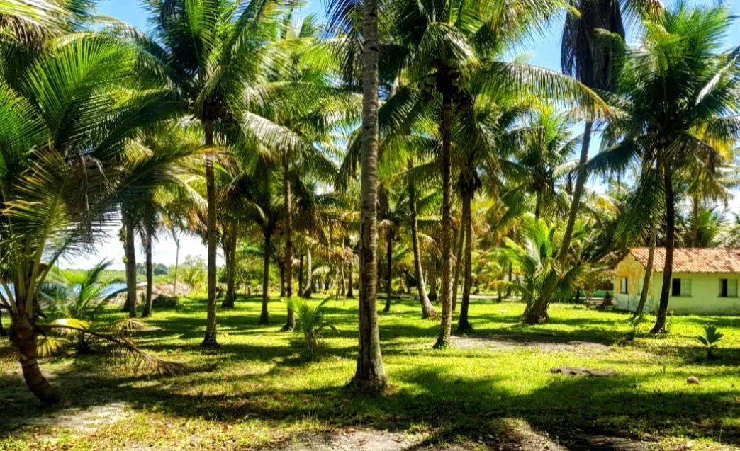 Excelente terreno com casa simples de frente para o mar em ilha paradisíaca na Bahia  - Foto 4
