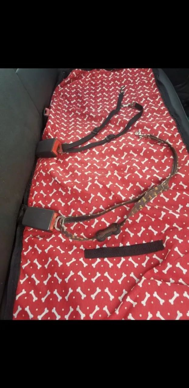 Transporte de caes e gatos - Foto 6