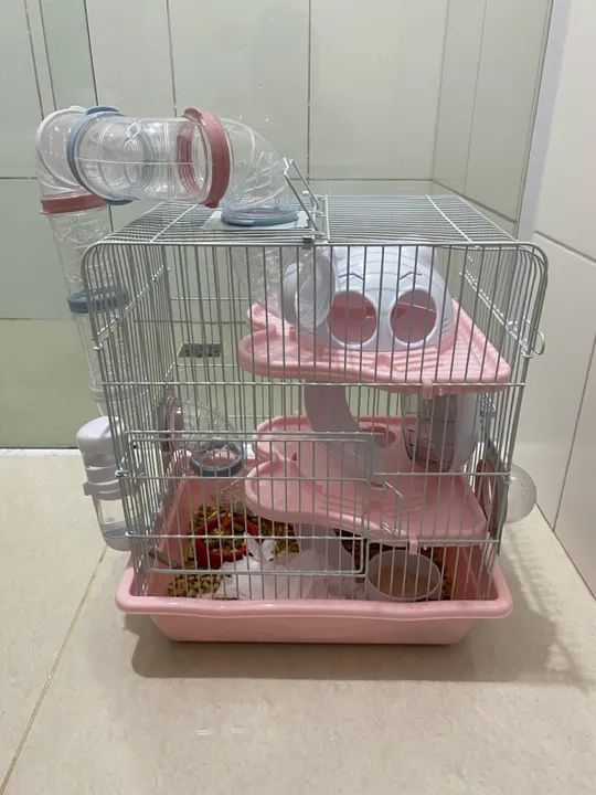 *DOANDO*  HAMSTER ANAO RUSSO+GAIOLA+Palha, comida e areia - Foto 5