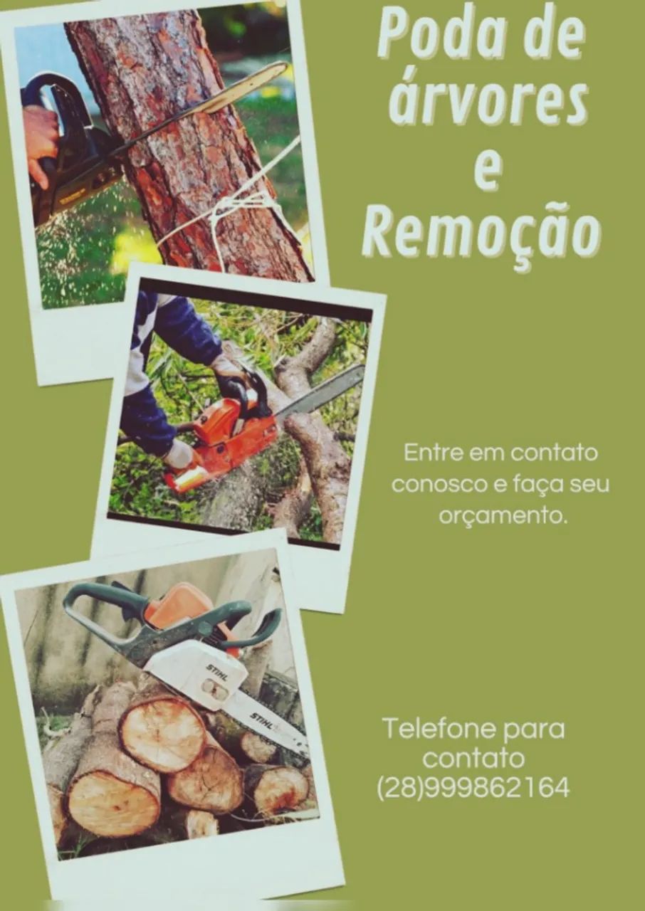 Póda de arvore e remoção