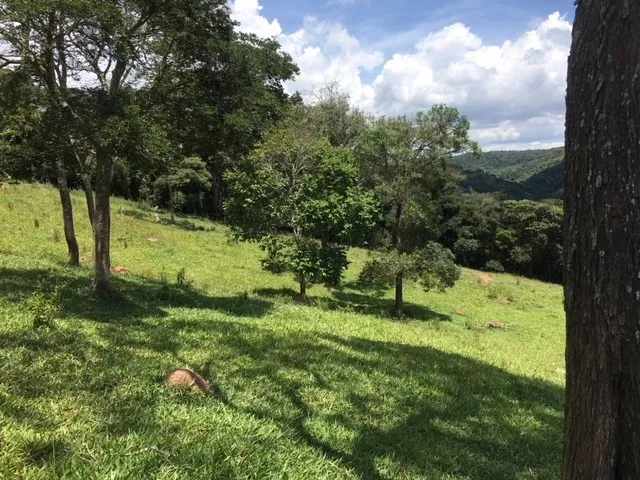 Terreno a 80KM de BH - 84.000m2 - Com nascente - São Bartolomeu