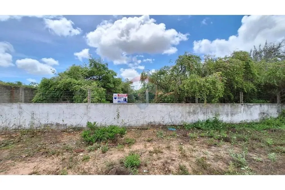 vendo terreno com localização Ideal em Pium: 2000m², Oportunidade Única" 15 minutos da pra