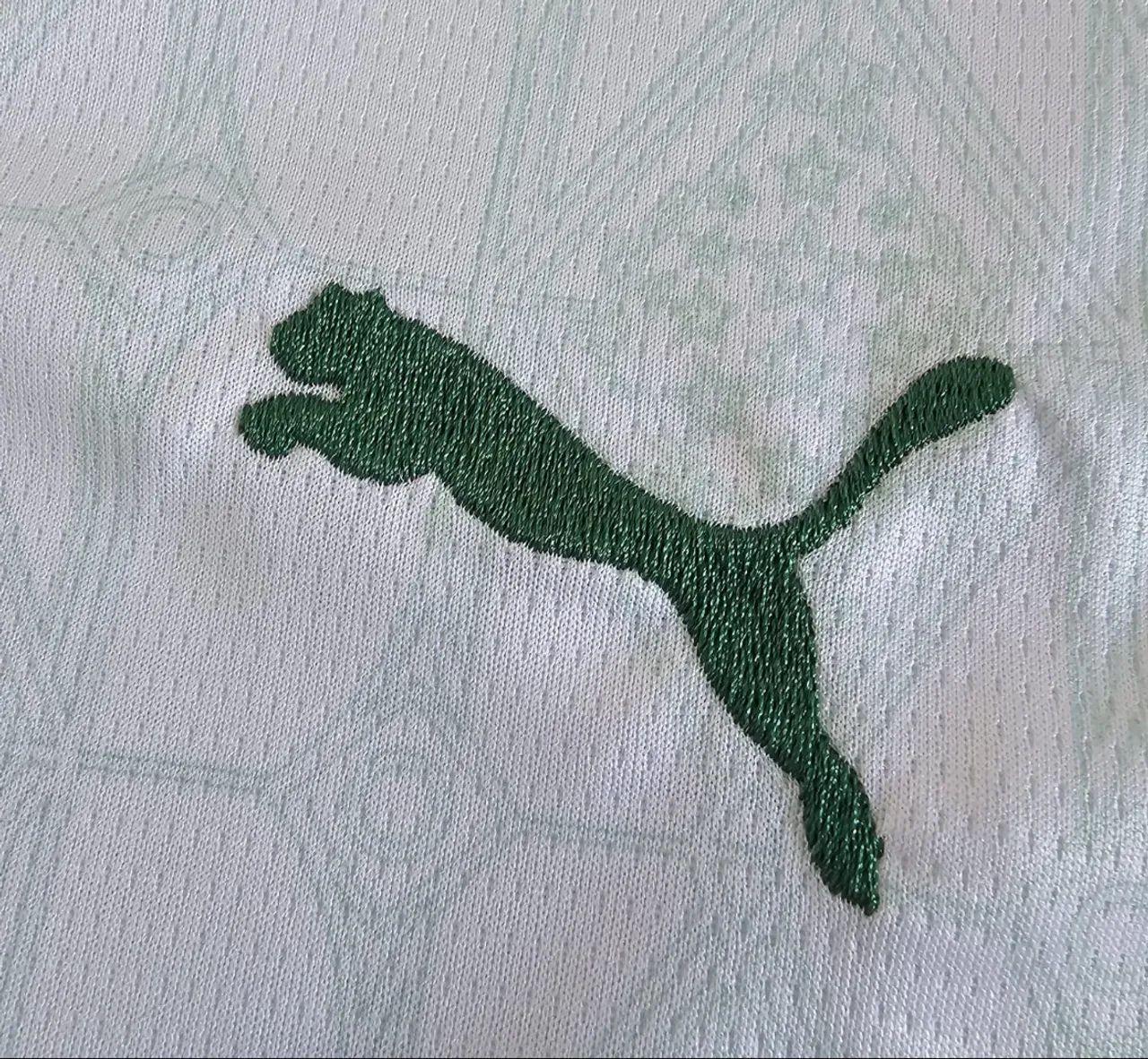 Conjunto infantil do Palmeiras lançamento 2025 - Pronta entrega  - Foto 2