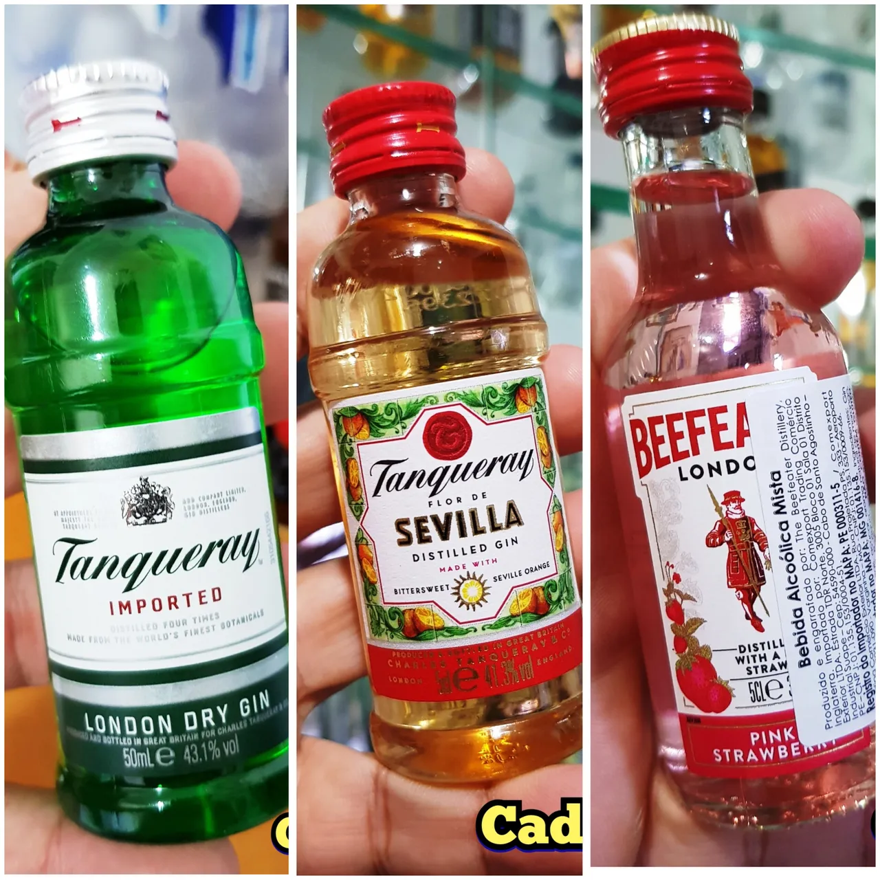 Kit miniaturas 50ml - GIN