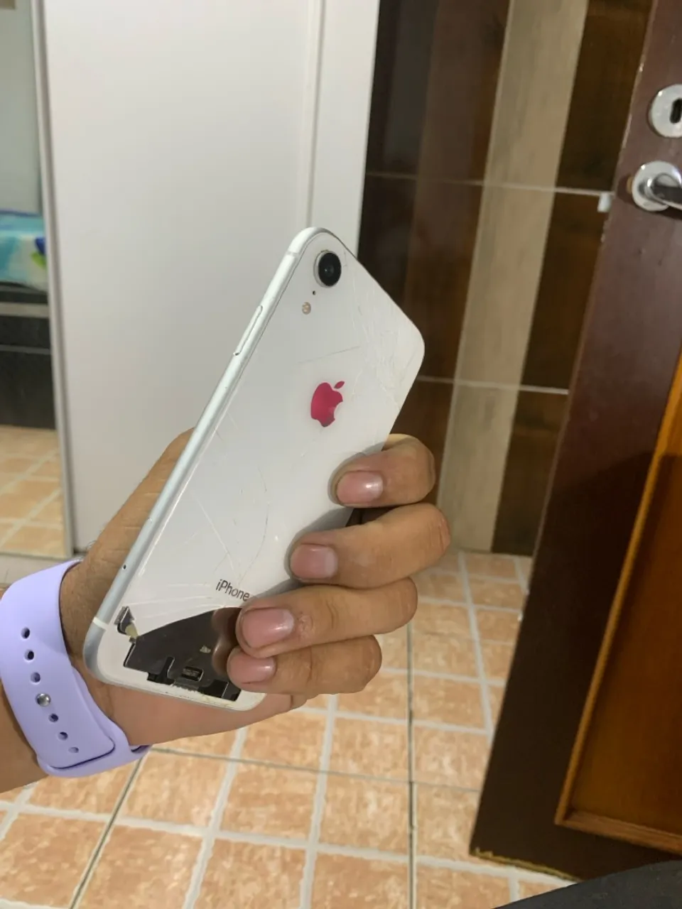 Carcaça Traseira iPhone XR