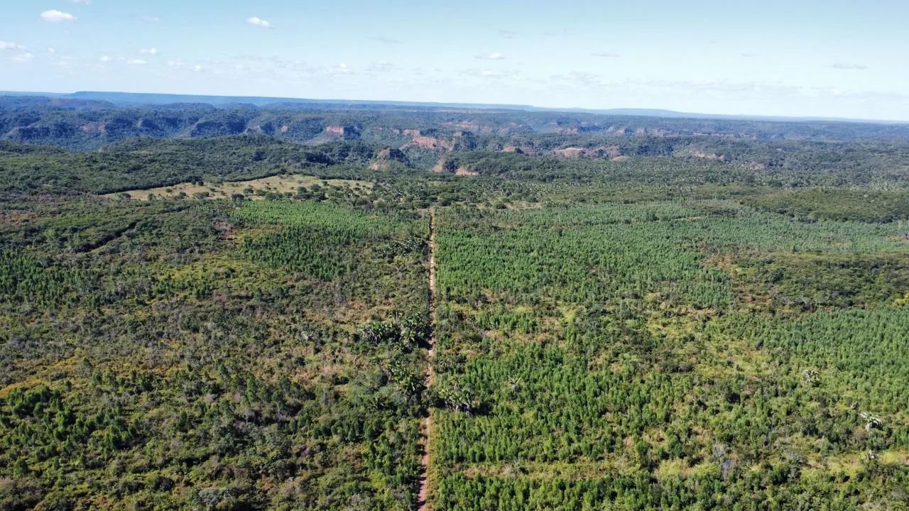 Oportunidade! fazenda em São Pedro do Piauí com 1.070 hectares para lavoura,  boa de solo. - Foto 2
