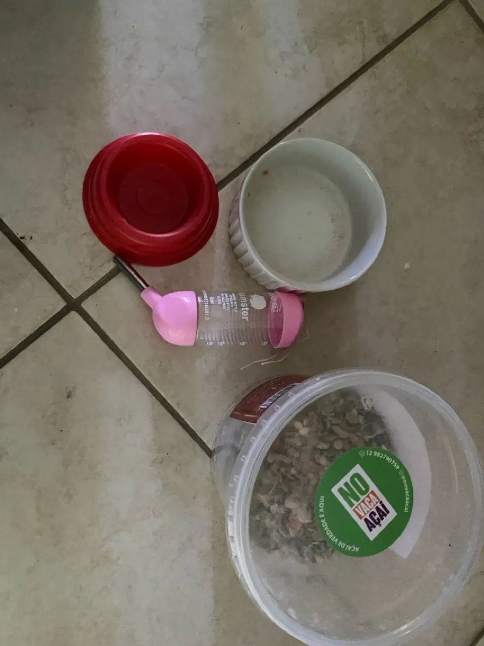 Mini-Terrário caseiro para seu hámster  - Foto 4