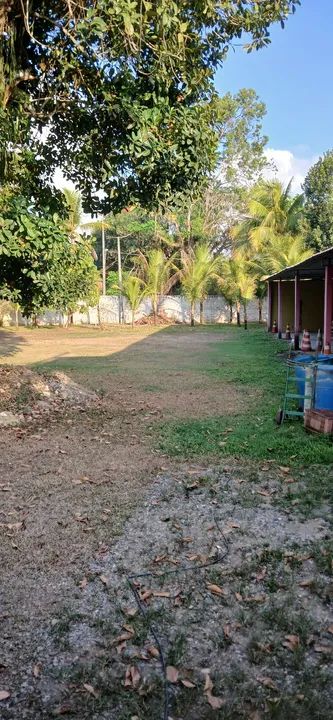 foto - São Lourenço da Mata - Chã da Tábua