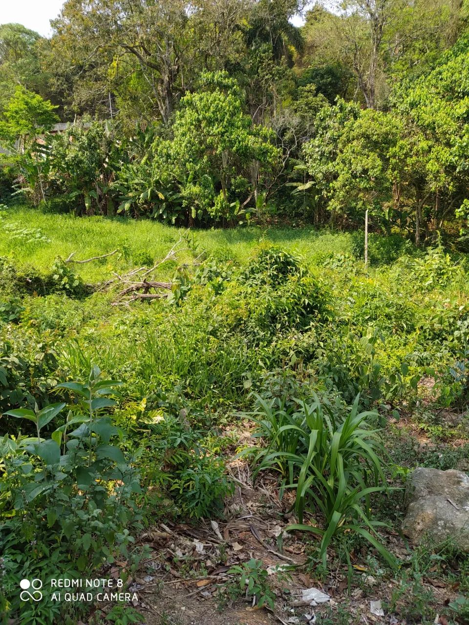 Lote/Terreno para venda tem 1410 metros quadrados em Jardim Nova Coimbra - Cotia - SP - Foto 4