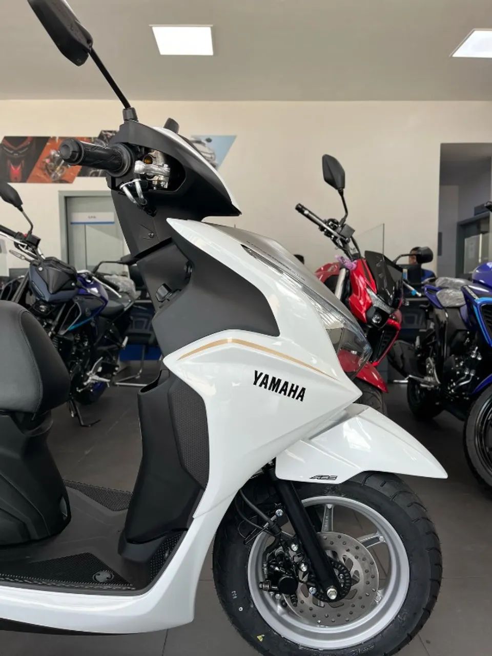 *Fluo 125 2026 - Leticia Martins - Foto 11