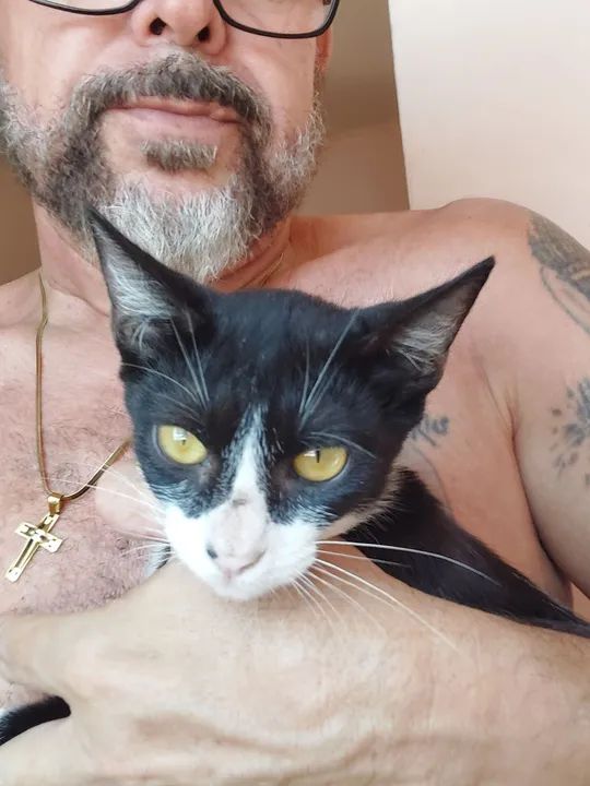 FRAJOLINHA FÊMEA PARA ADOÇÃO!