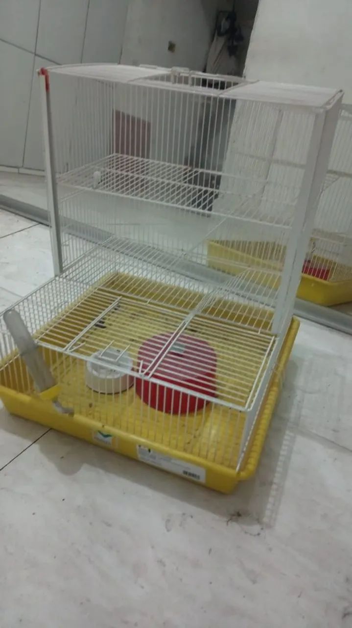 Gaiola 64298892525059120