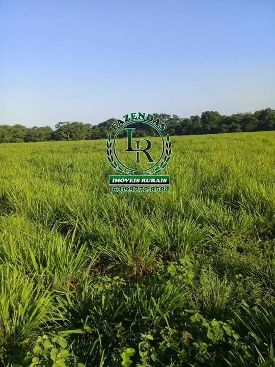 Fazenda 50 Alqueires Dupla Aptidão - Foto 5