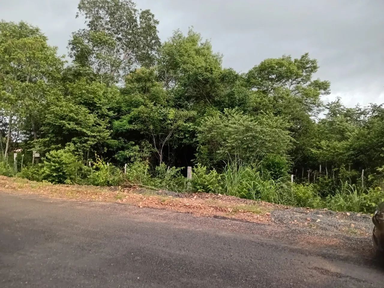 Vendo terreno a 100 metros do Rodoanel da Usina Santana/ Dirceu  - Foto 4