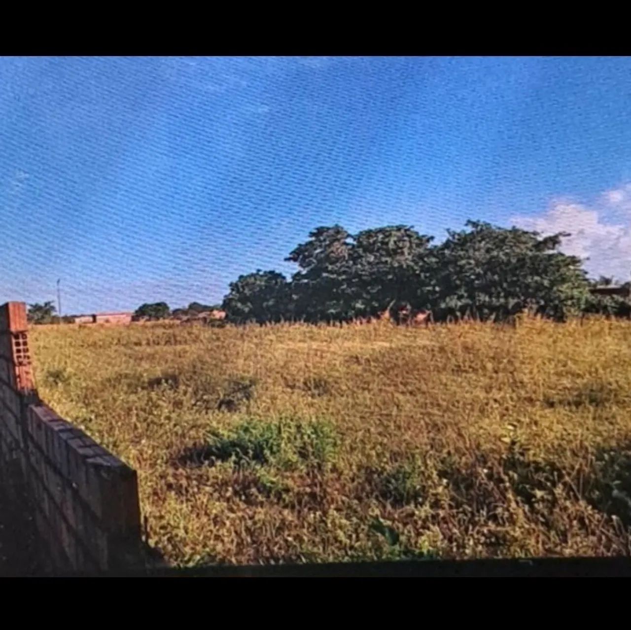 Otimo terreno para chacara - Foto 4