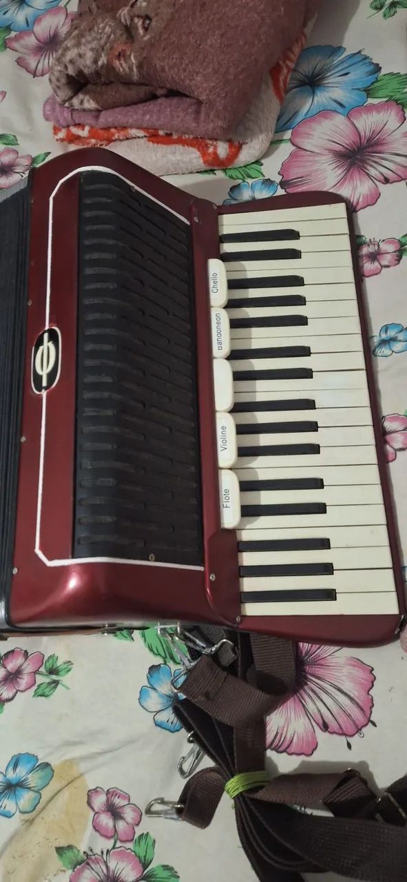 Acordeon 