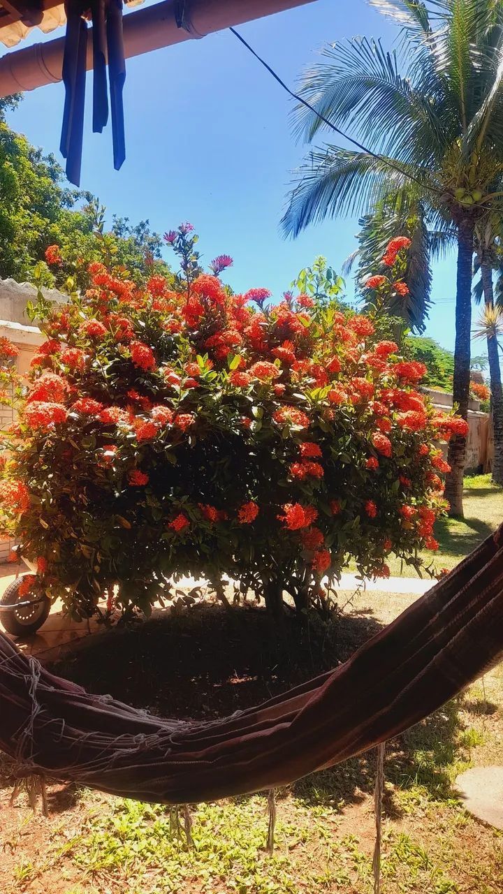 Casa na praia de Tucuns em Buzios  - Foto 7