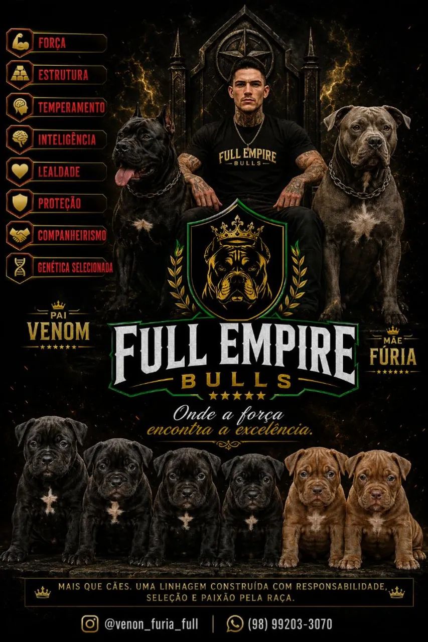 Vendo Filhotes de Pitbull // Pit Monsters 