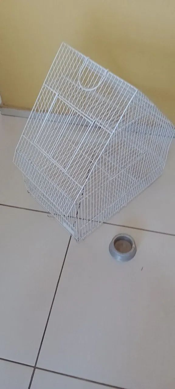 Gaiola - Foto 2
