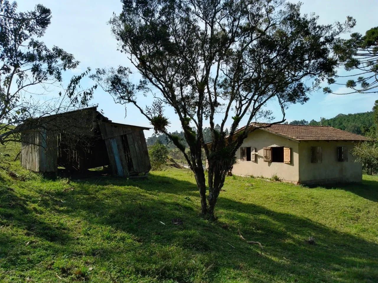 Vende-se mini chácara  - Foto 3