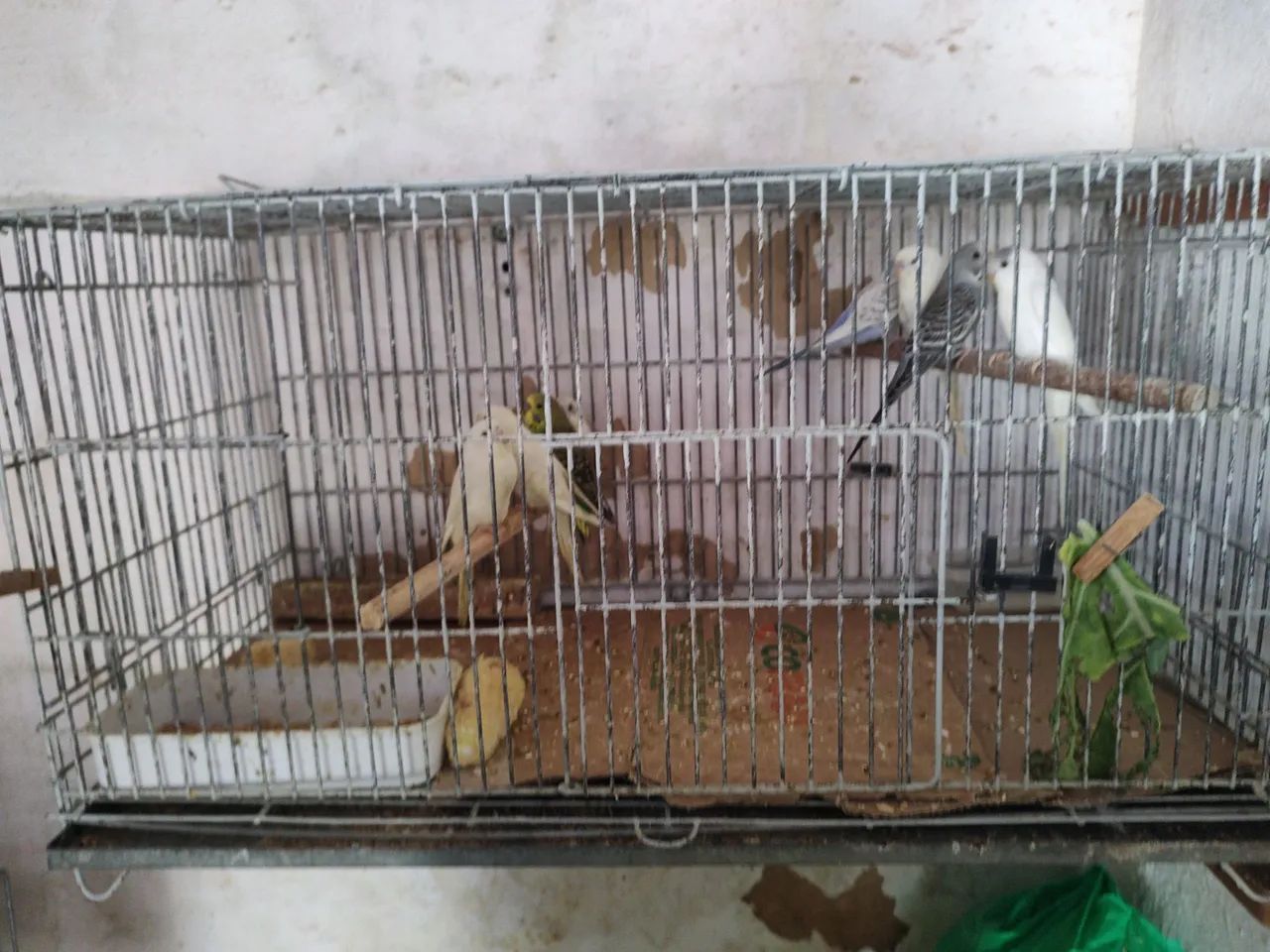 Vende-se - Foto 2
