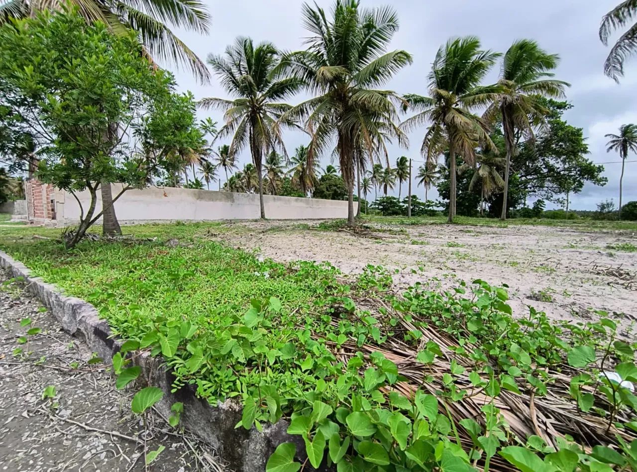 Super oportunidade - Porto de Galinhas - Foto 2