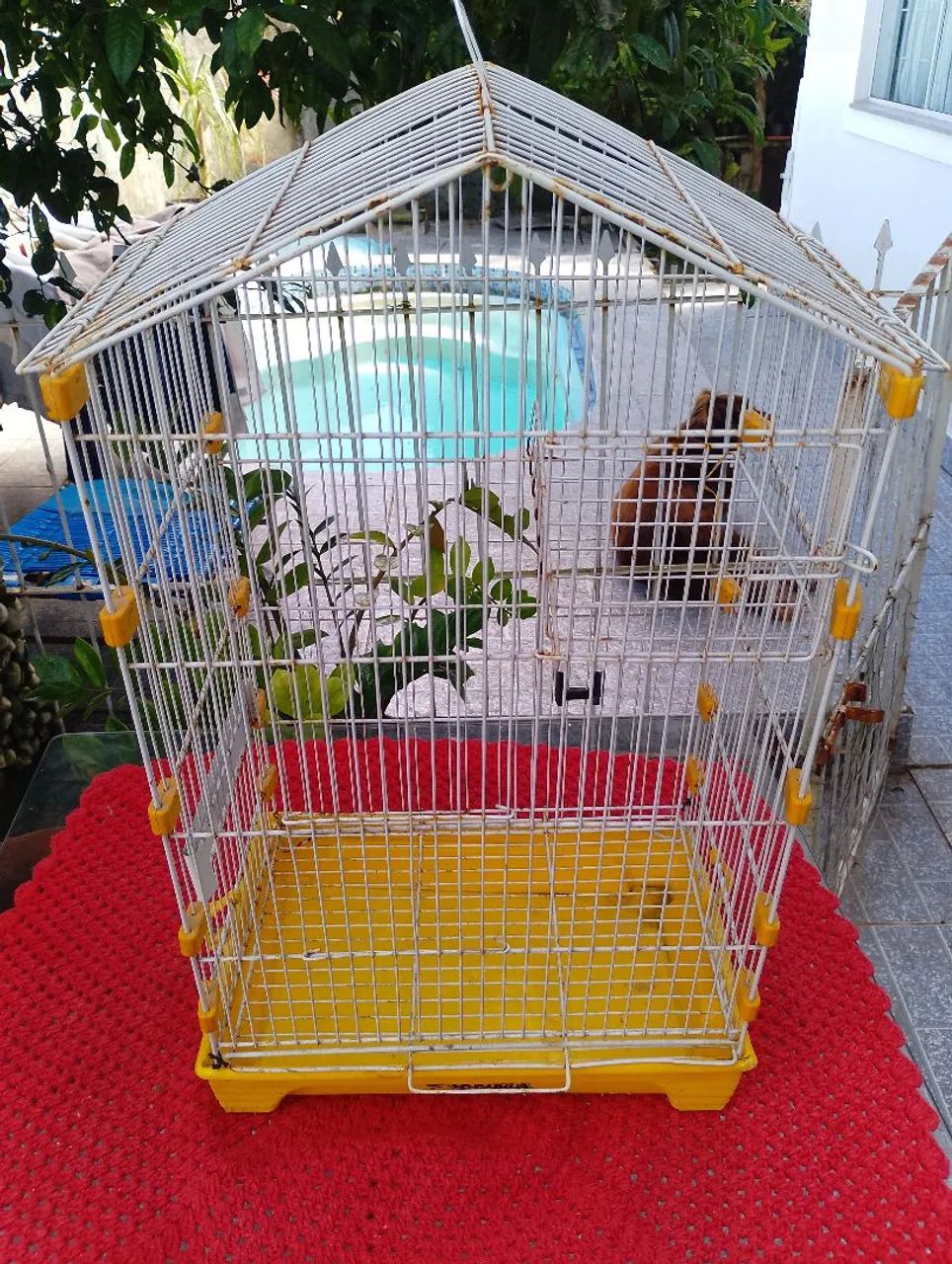 Gaiola pássaros 