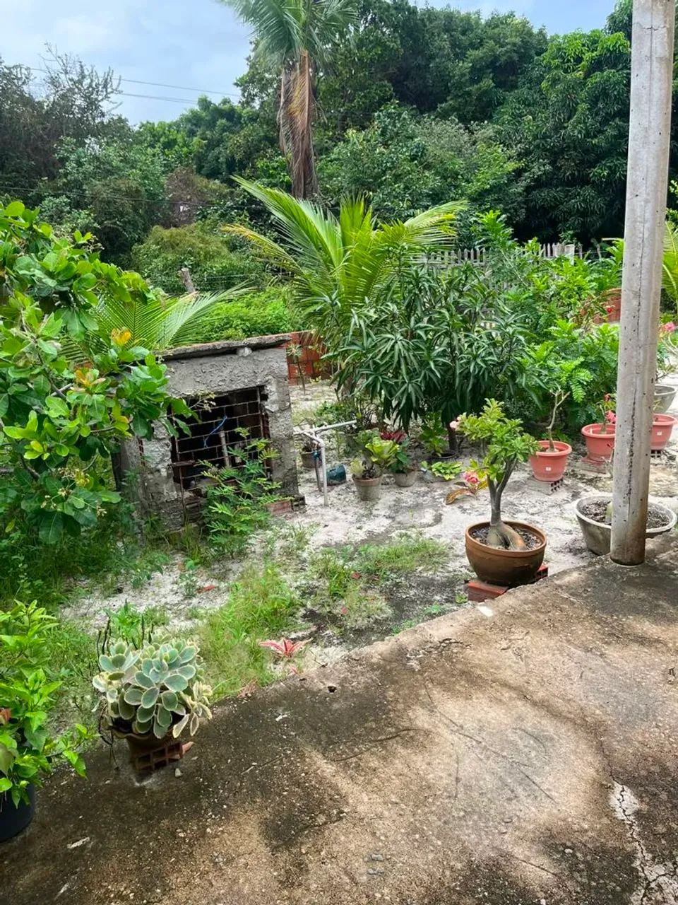 Casa em Cascavel a venda - Foto 5