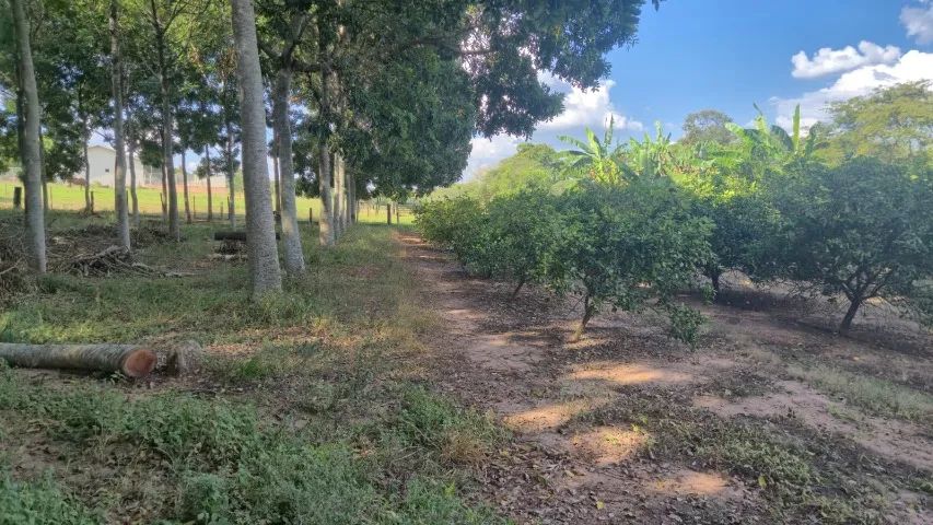 Propriedade com dois hectares em Jurupema - Foto 3