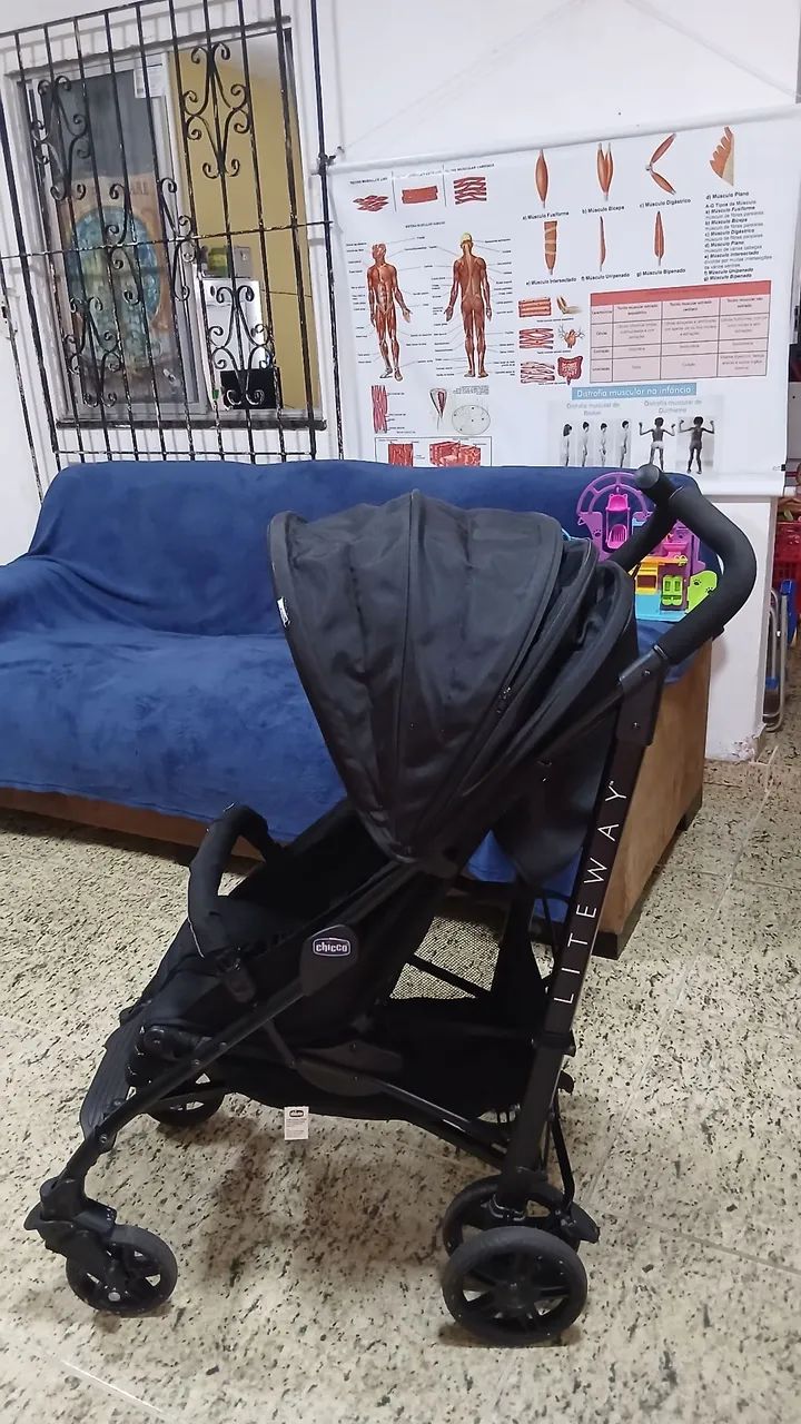 Carrinho de passeio Chico