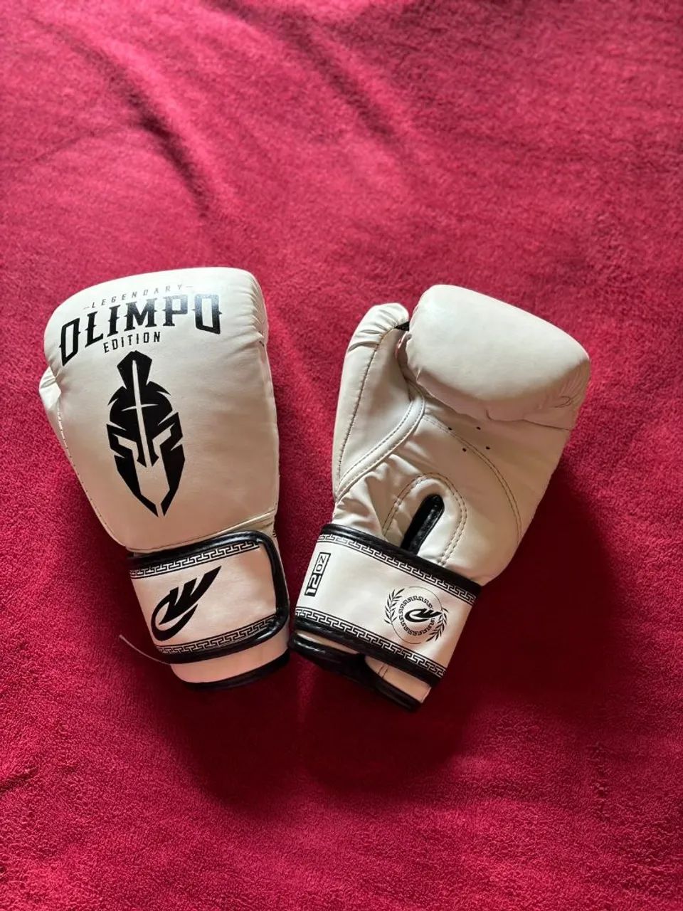 Kit de luvas e caneleiras