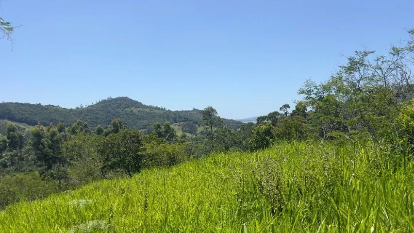 Sitio de 2 Hectares em Imarui. com vista para a Lagoa. - Foto 3