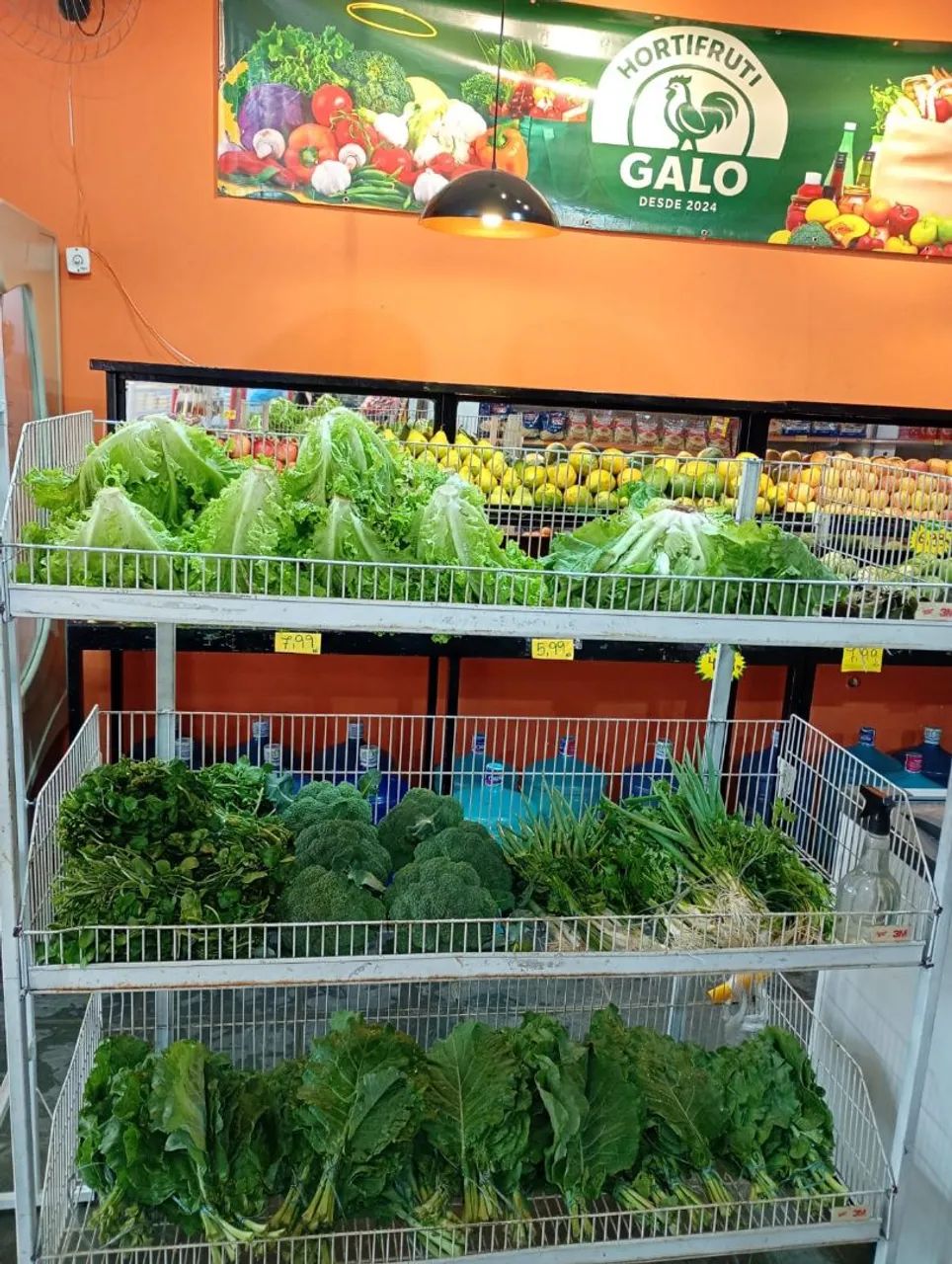 VENDO LOJA FUNCIONANDO (MERCADINHO)  - Foto 4