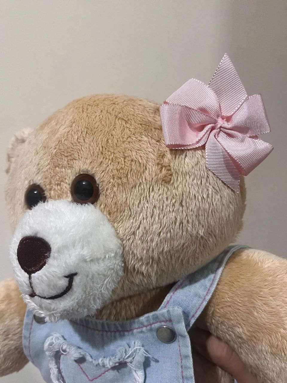 Urso - Foto 2