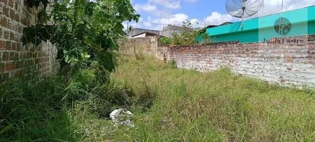 VENDO Ótimo terreno na cidade de Limoeiro - PE - Foto 4