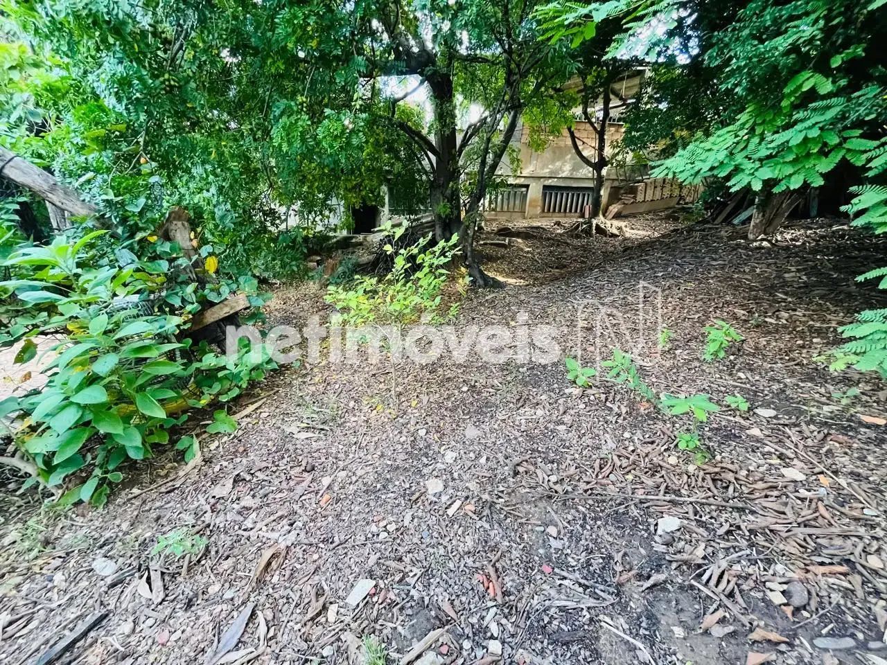 Lote de 300m²; no Pindorama!