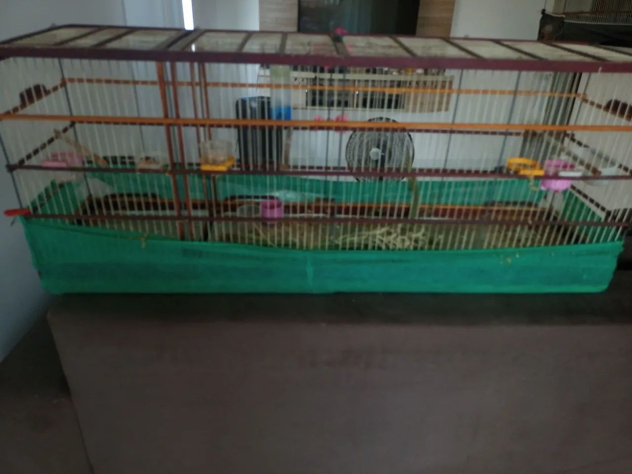 Gaiola voador